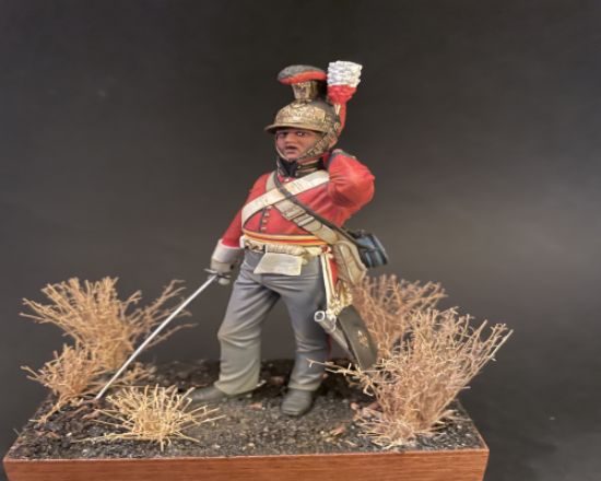 Life Guards, Waterloo 1815