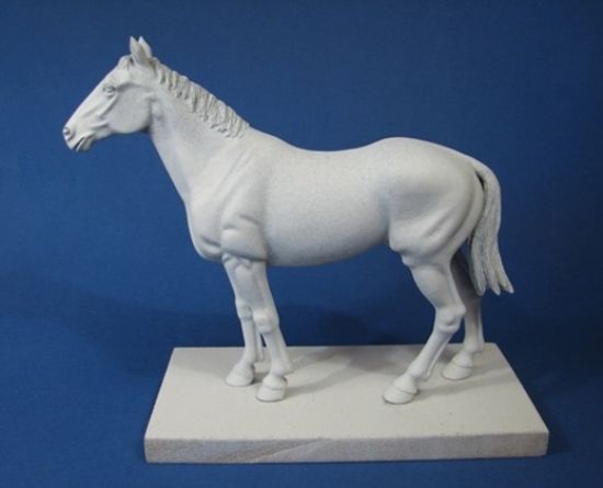 Horse, a plain undressed horse
