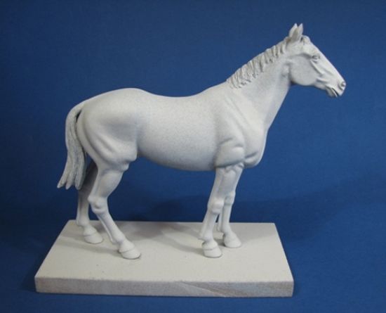 Horse, a plain undressed horse