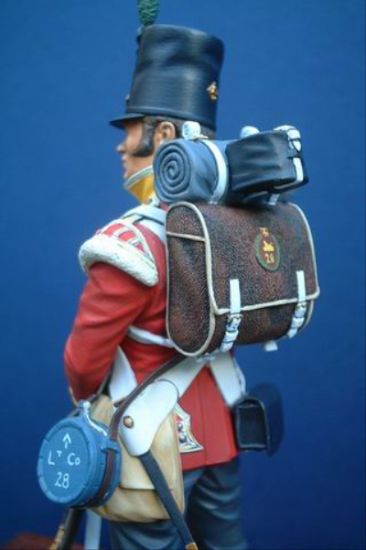 Left side 28th of Foot (North Gloucestershire) Regiment, Waterloo 1815