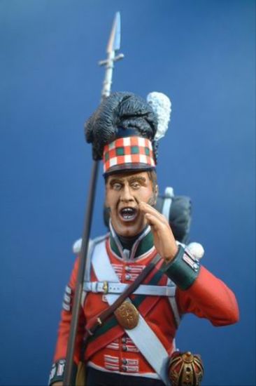 Close up of Sergeant 79th Cameron Highlanders, Waterloo 1815