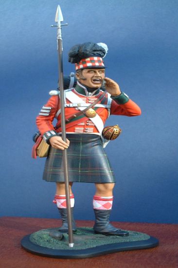 Sergeant 79th Cameron Highlanders, Waterloo 1815