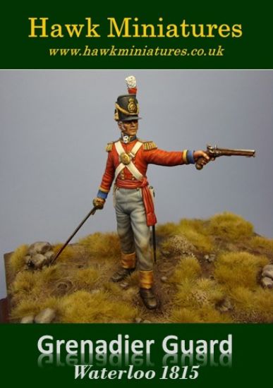 Grenadier Guard Officer, Battle of Waterloo 1815
